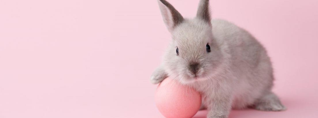 El blog de Alexandra